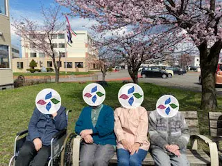 お花見の写真